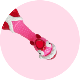 Rounded Image 1