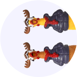 Rounded Image 5